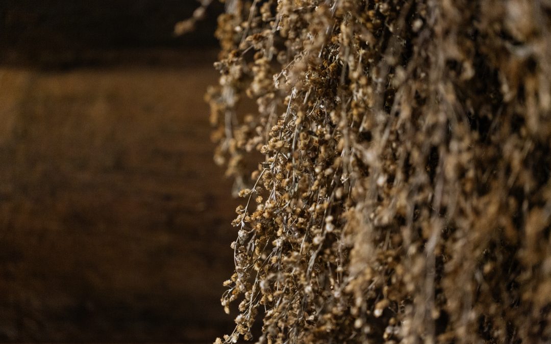 What types of veniks will you come across at the banya?