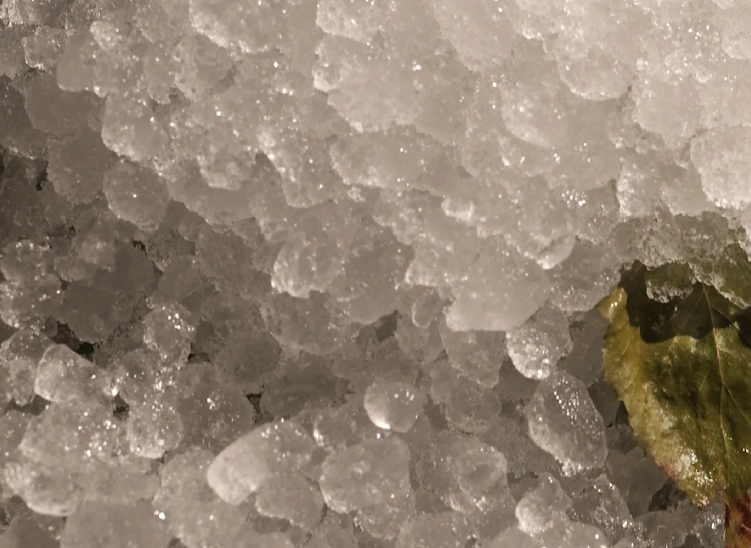 Parenie with Ice