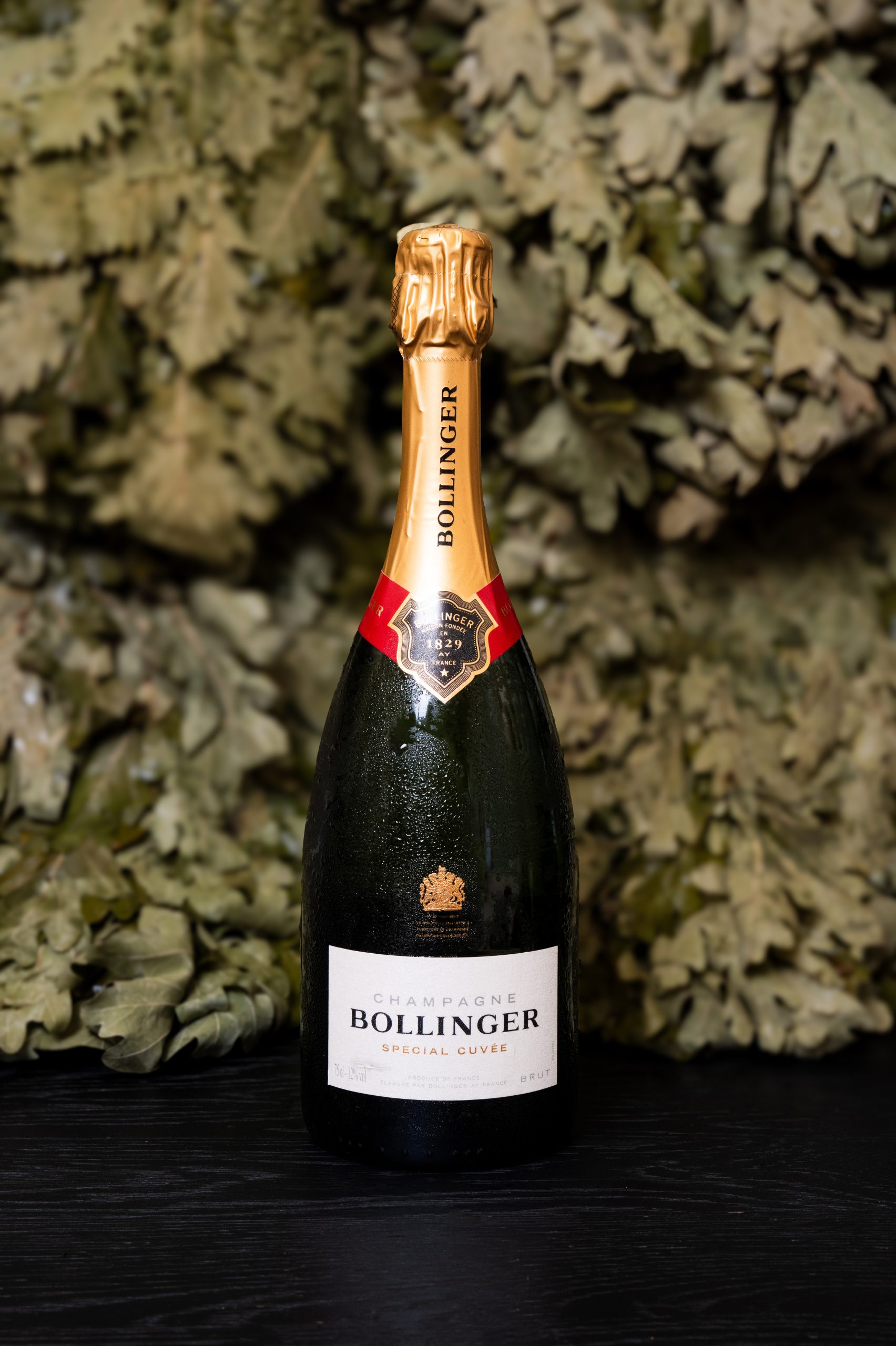 Bollinger - Special Cuvée